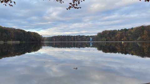 2023.11.12 - Jezioro Głębokie